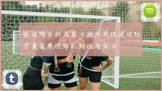 张佳玮分析乌度卡战术风格进攻防守兼备展现球队韧性与实力