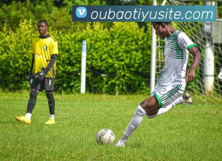 欧宝体育平台生态图