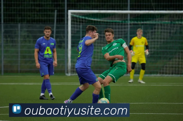 欧宝体育全站App